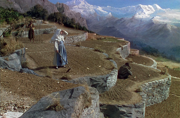 blacknarcissus1