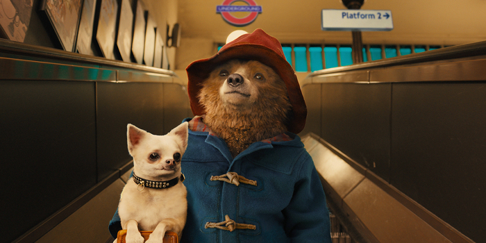paddington
