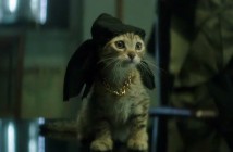 keanu cat